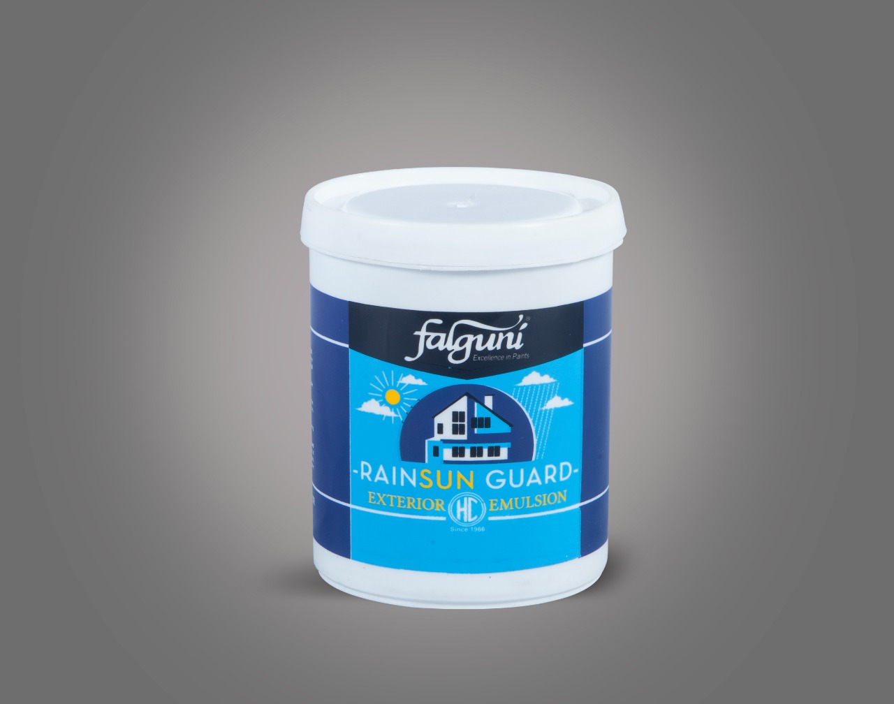 Falguni Rainsun Guard Exterior Emulsion